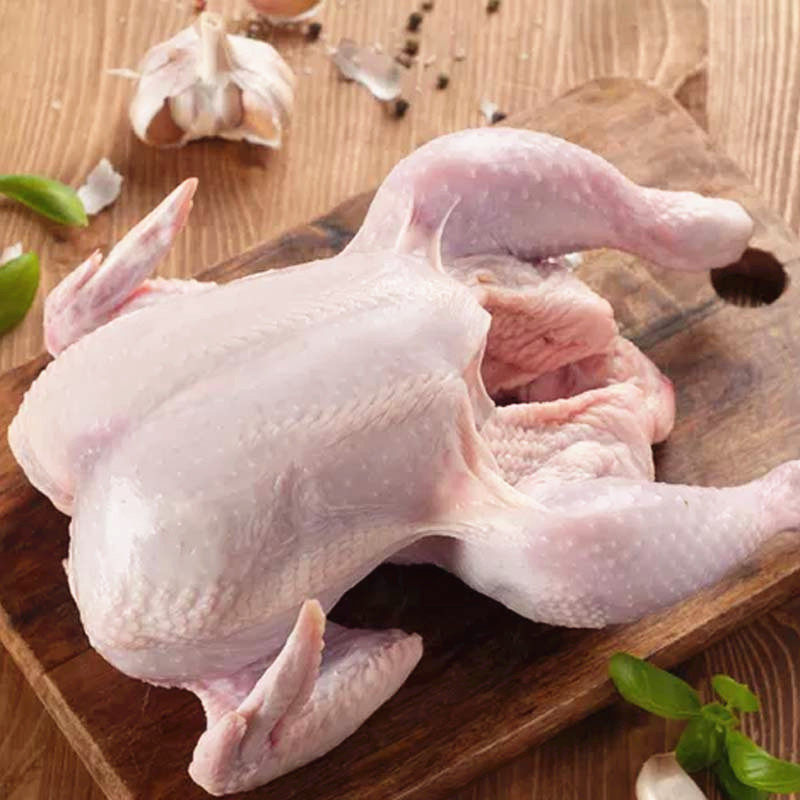 小汤山养母柴鸡2.5斤新鲜鸡肉基地自产顺丰宅配整鸡