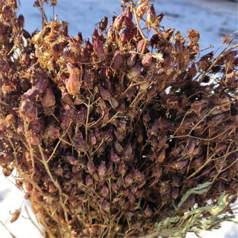 稳心鹿心天然正品中药材250g包邮护心草磨粉水酒其他药食同源食品