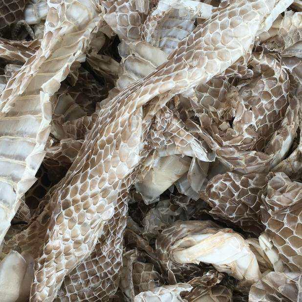 中药材蛇蜕500克蛇蜕皮蛇退龙衣蛇皮长虫青龙蛇壳包其他药食同源食品