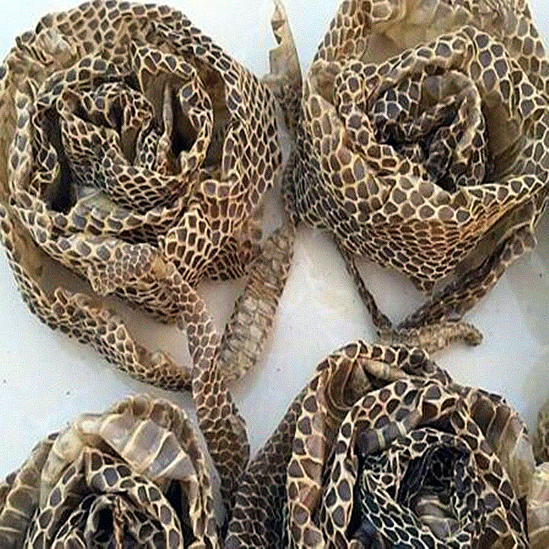 中药材蛇蜕500克蛇蜕皮蛇退龙衣蛇皮长虫青龙蛇壳包其他药食同源食品