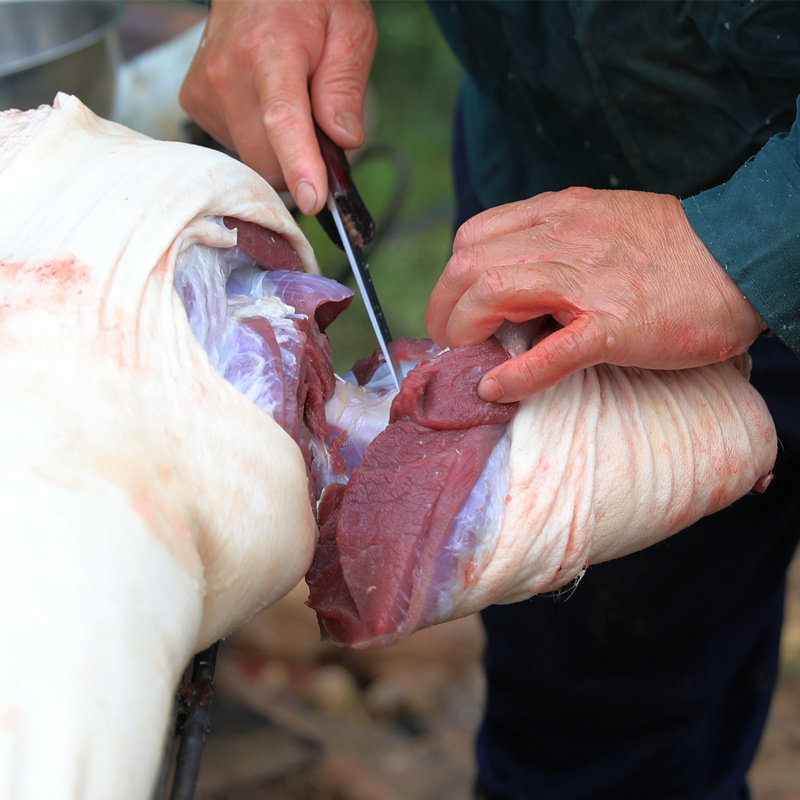 新鲜猪后腿肉土猪肉现杀前尖农家喂养生猪肉生鲜笨猪肉3斤装包邮