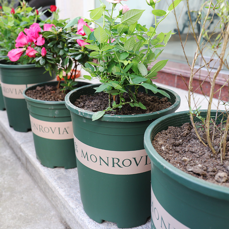 环球加仑盆特大加厚树脂塑料花盆 阳台种花种菜多肉绿萝月季花盆