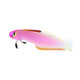 Purple Purple Tahitian fish radar radar Firebird blue discoloration of Yuanyang jet tube gobies live marine fish Purple Purple Tahitian fish radar radar Firebird blue discoloration of Yuanyang jet tube gobies live marine fish