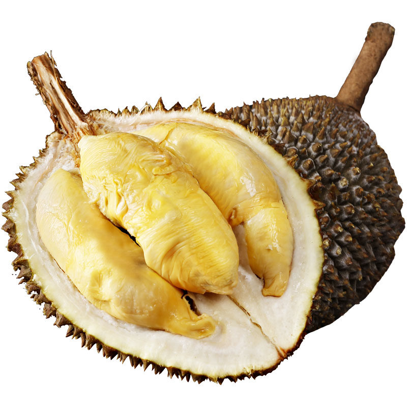 马来西亚树上d13朱雀榴莲进口新鲜液氮冷冻带壳榴莲