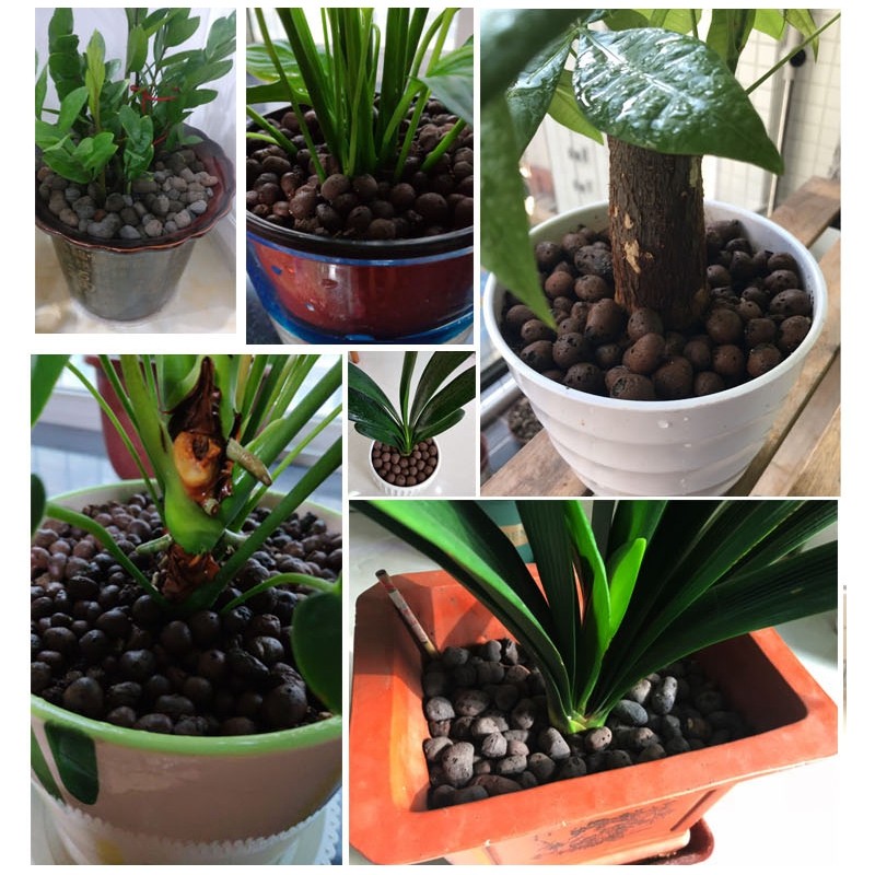 花卉种植陶粒水培多肉兰花发财树金钱树盆栽垫底铺面陶石子透气土