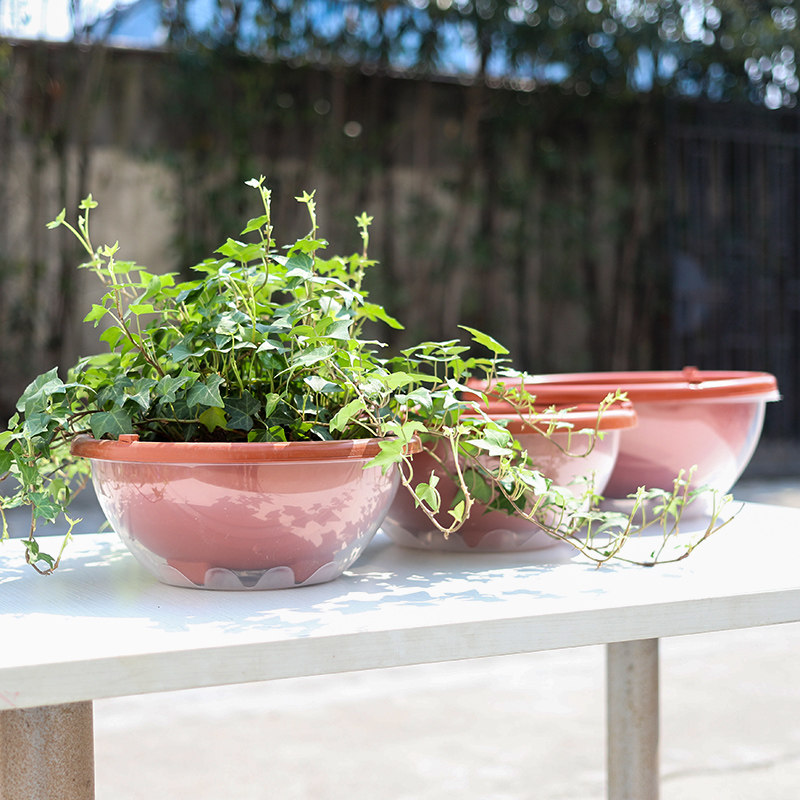 花盆绿萝储水水盆双层树脂套盆塑料吊兰圆形花盆