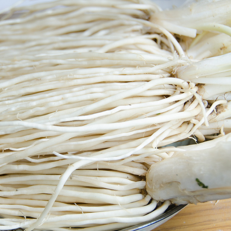 菜根云南子良汤包炖汤炒肉腌制5斤月子新鲜其它