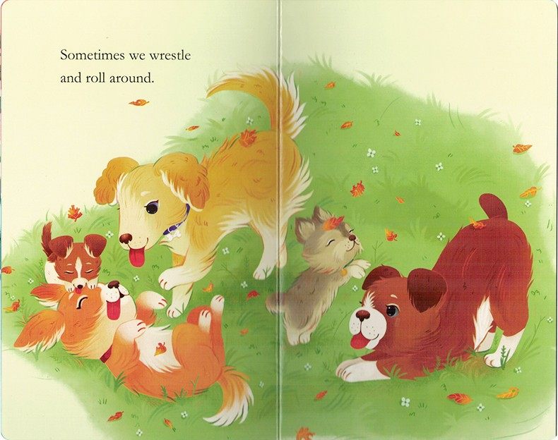 公鸡iamabunny启蒙英语儿童低幼板书纸板4册绘本原版其它