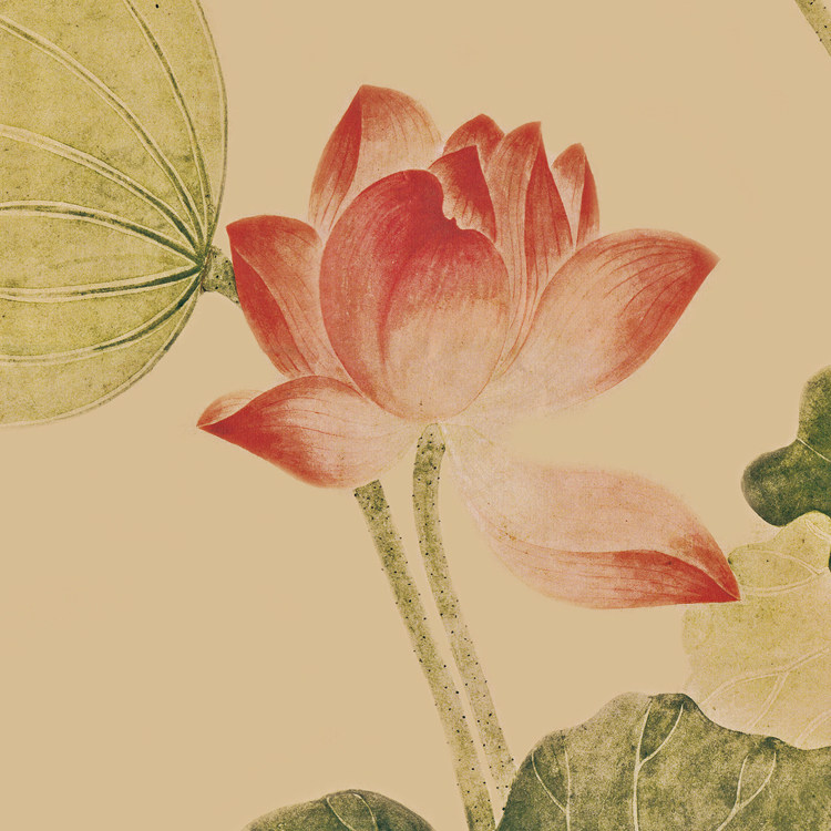 清吴应贞荷花图新中式花鸟画装饰画禅意现代客厅油画