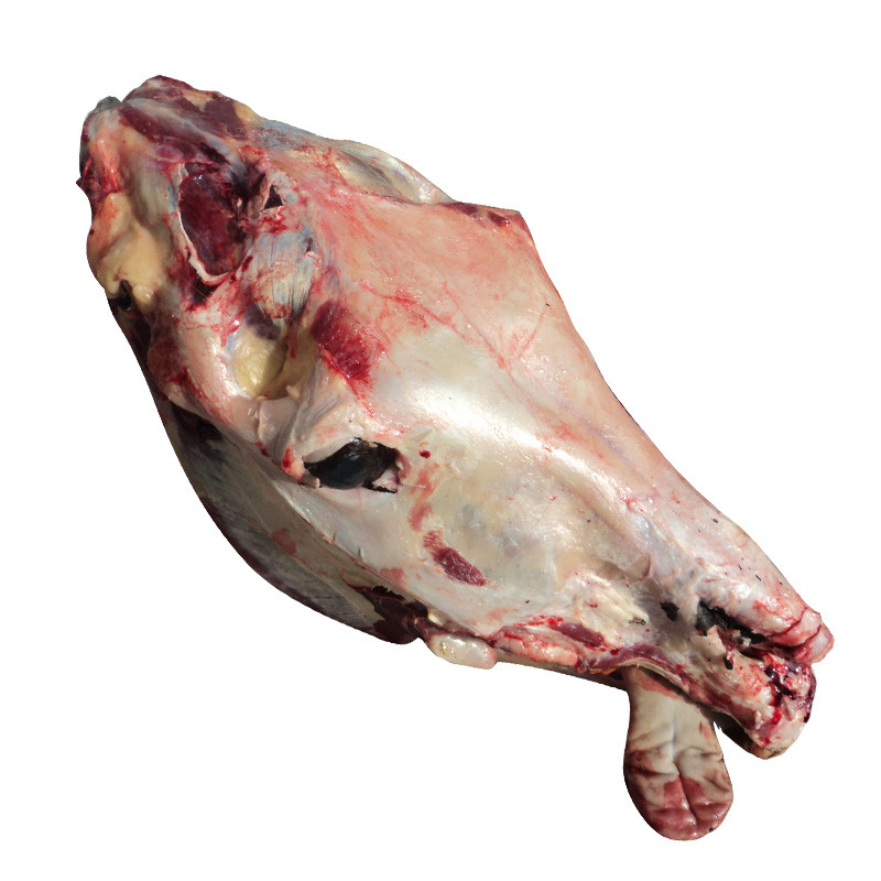 新鲜现杀生驴头整只驴头全驴宴驴头肉_不打折现价280元