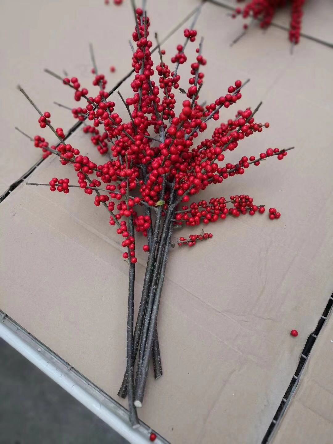 基地直销 现剪现发 北美冬青切枝 欧洲红果冬