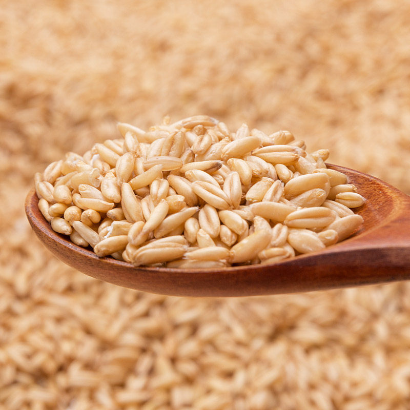 5斤袋燕麦米东北当季新米去壳燕麦野麦雀麦其它粮食