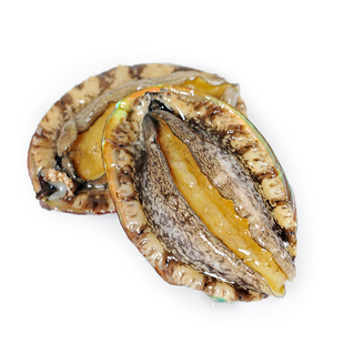 渔美人东山岛野生水产海鲜九孔鲍皱纹鲍8头鲍鱼2斤 包邮