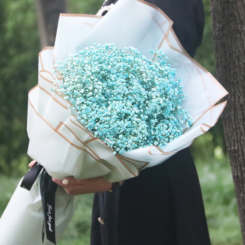 抖音网红同款蓝色满天星干花永生花花束鲜花速递同城干花