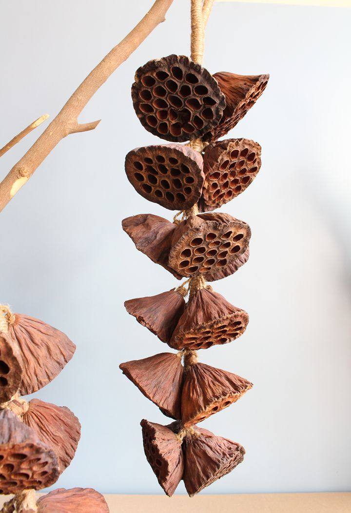 莲蓬自设工厂zakka拍摄道具干果干花天然橱窗干花