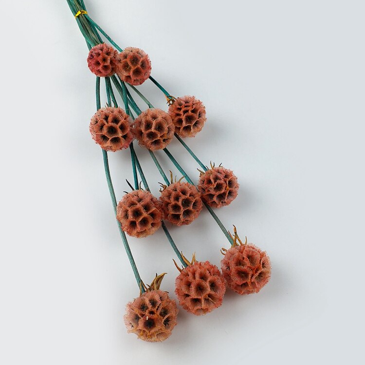 永生花diy配材 松虫果 保鲜花玫瑰花永生花材厂家直销