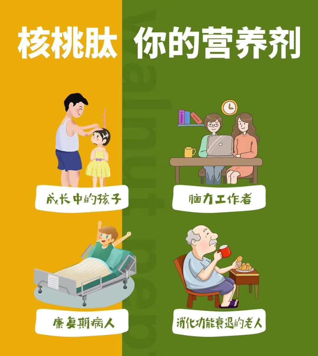 3发善肽核桃肽小分子活性复合低聚神经其他膳食营养补充剂