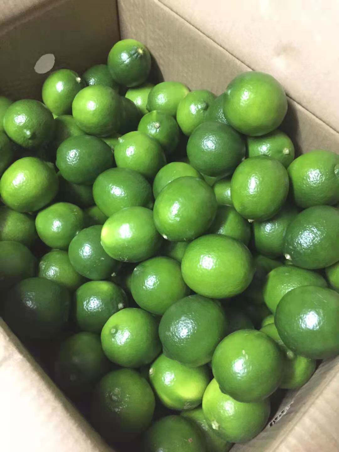 青柠檬泰国新鲜无籽5斤包邮皮薄汁餐厅酒吧饮品柠檬