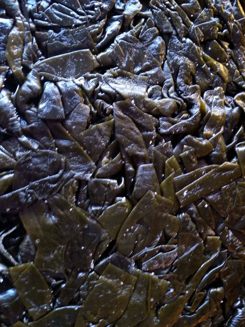 海带霞浦发包批发14斤净重整箱中大干货半干海带