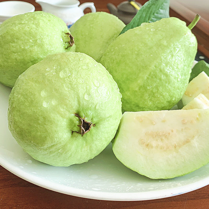 泡沫箱装广东廉江特产新鲜现摘番石榴白心芭乐爽芭乐