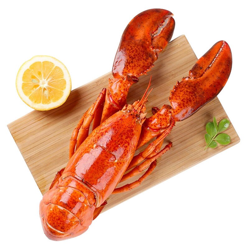 龙虾采极加拿大进口波士顿熟冻即食速冻波龙澳龙冻虾