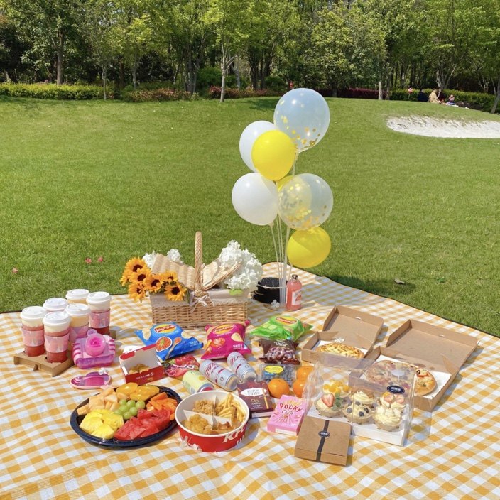 野餐户外ins道具用品生日派对网红拍照布置节日装扮用品