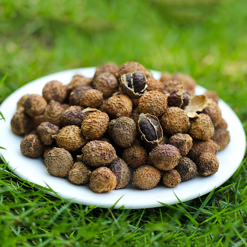阳春砂仁广东正品特产干果生晒养胃煲汤蒸肉砂仁