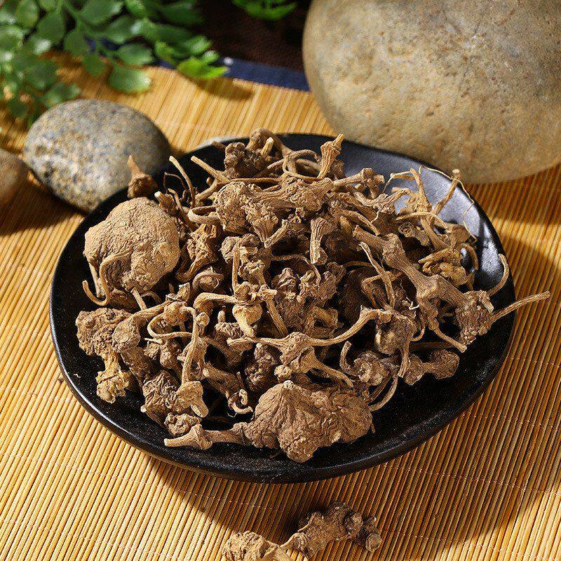 野生疙瘩七张扣子七钮珠儿中药材珠子七枝250g其他药食同源食品