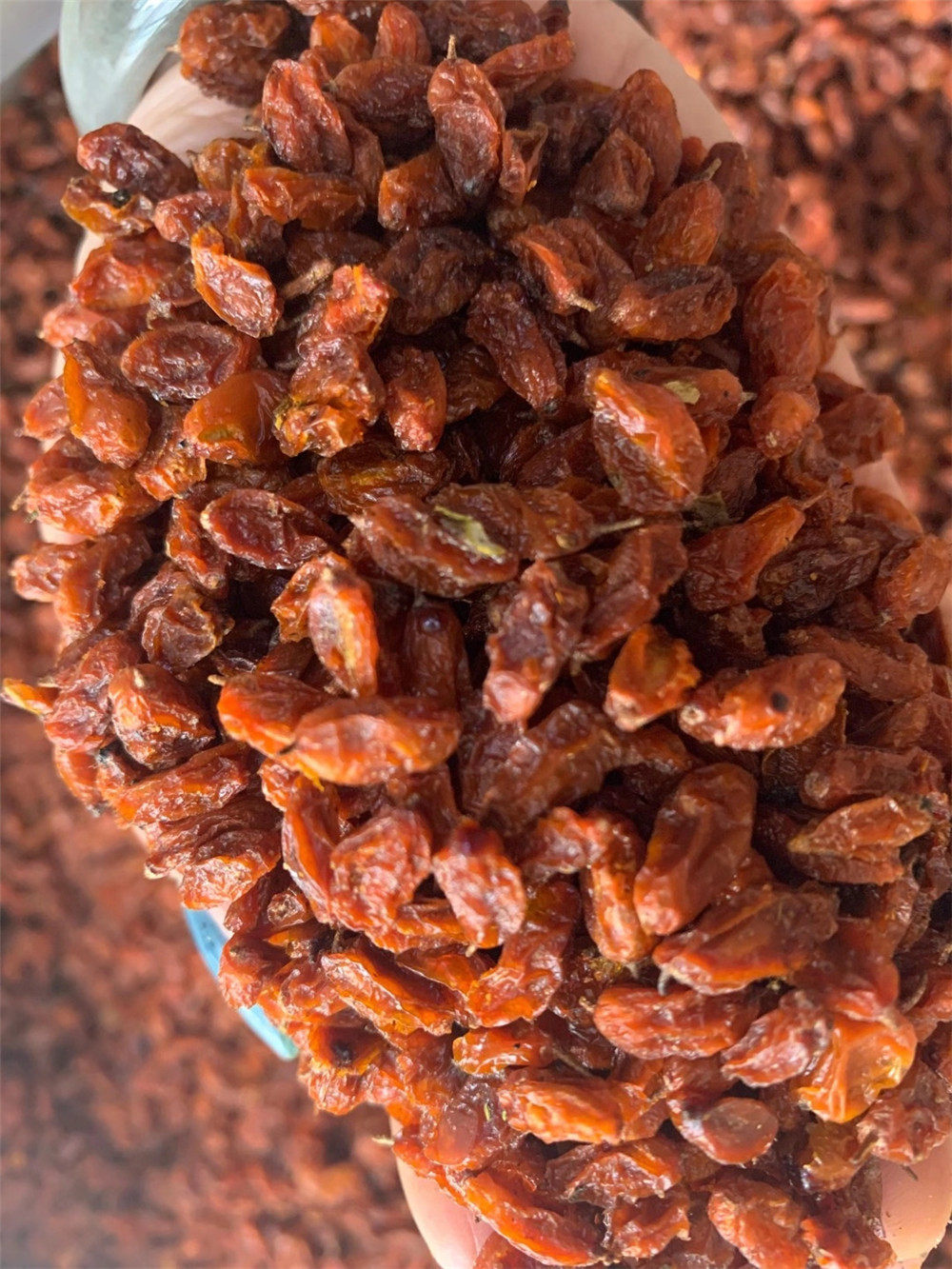 沙棘果干新疆阿勒泰特产大果干果含果油无提炼其它