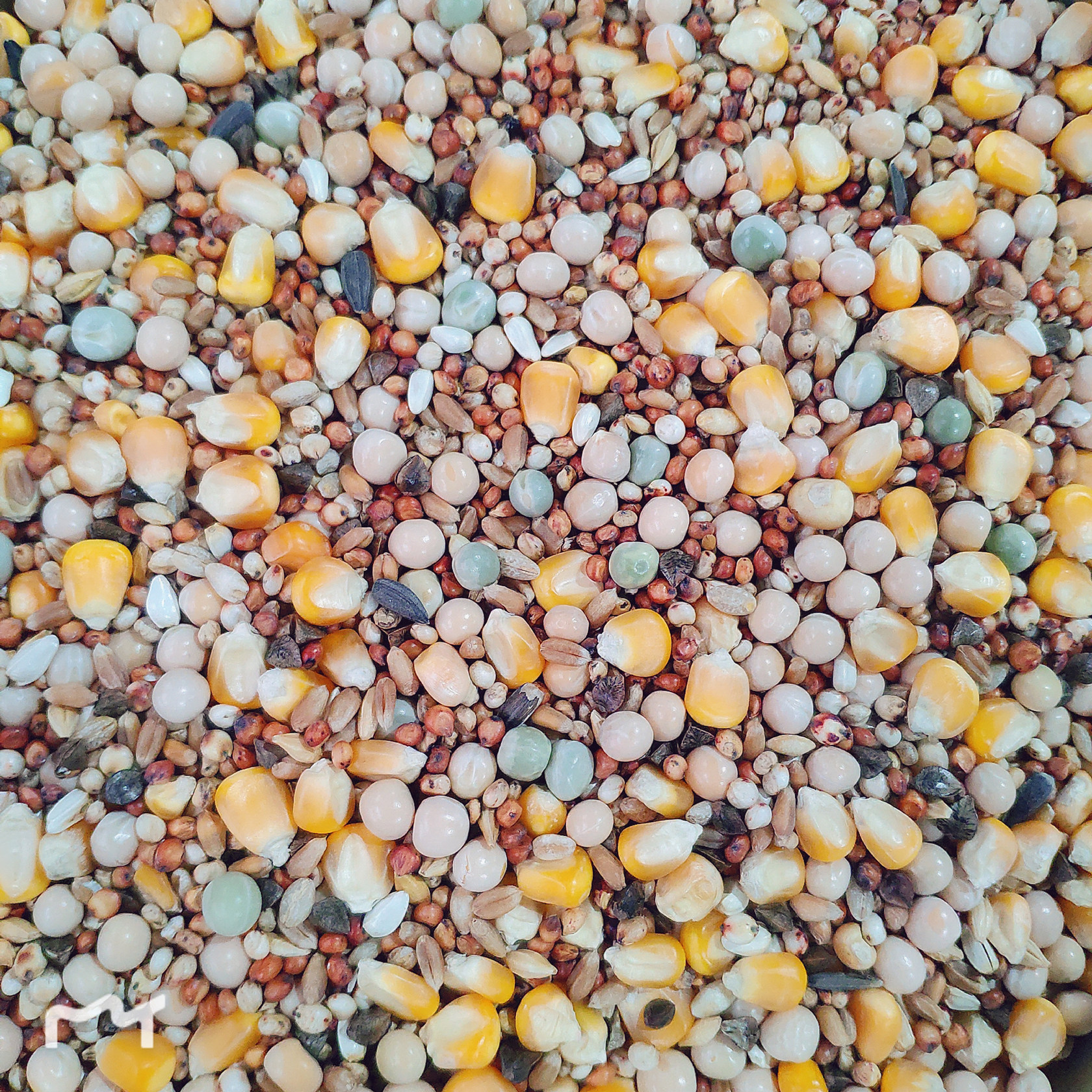 粮良饲料50斤鸟食粮食鸽子观赏赛飞德易营养鸟食