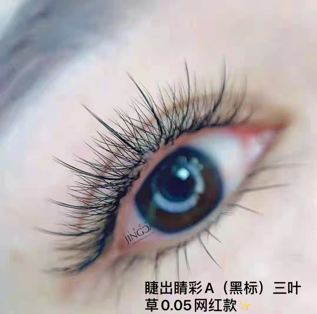 睫毛睫出睛彩三叶草嫁接3d仙朵开花空气柔软化妆