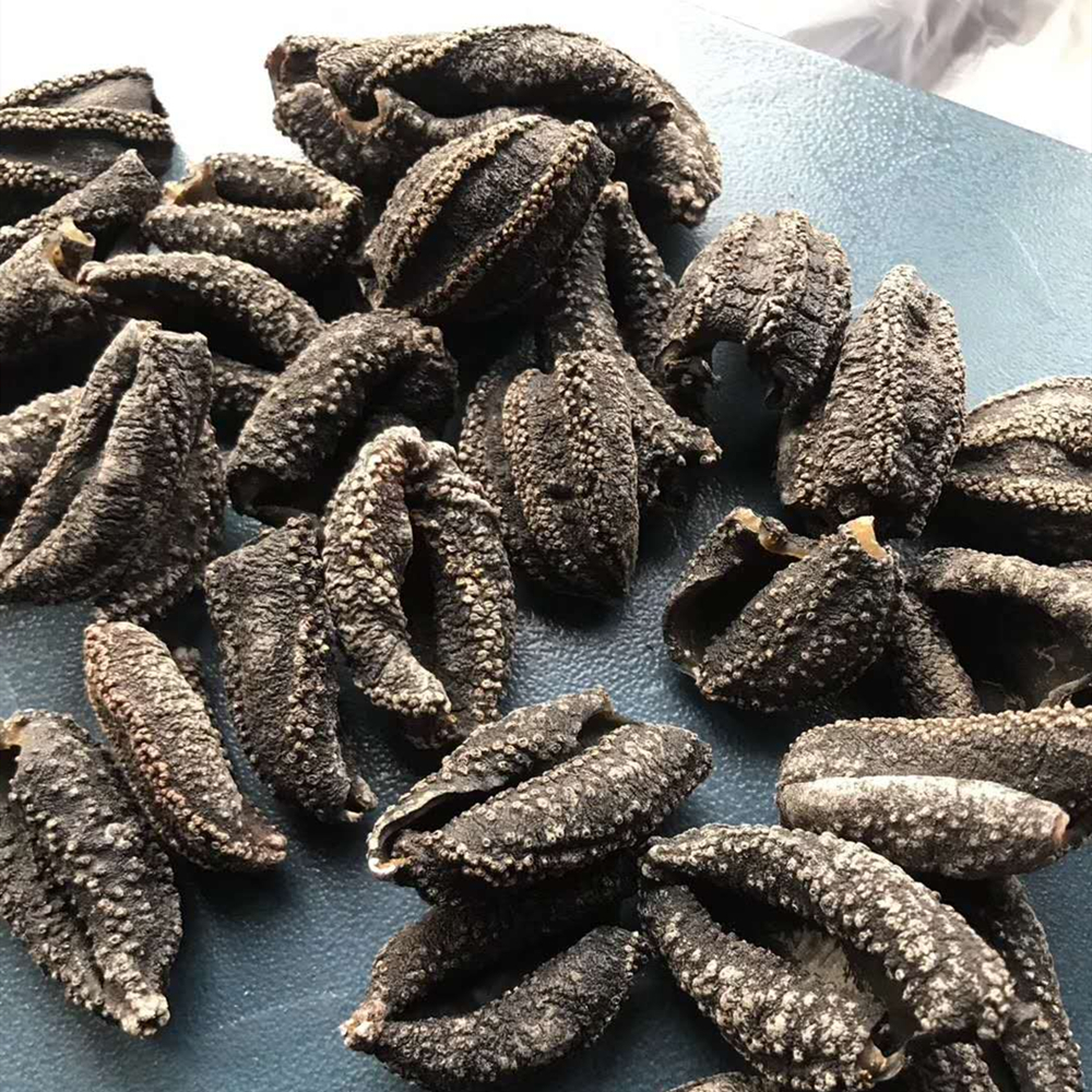 俄罗斯进口萨哈哈林野生茄参灯笼海参淡干原货海参
