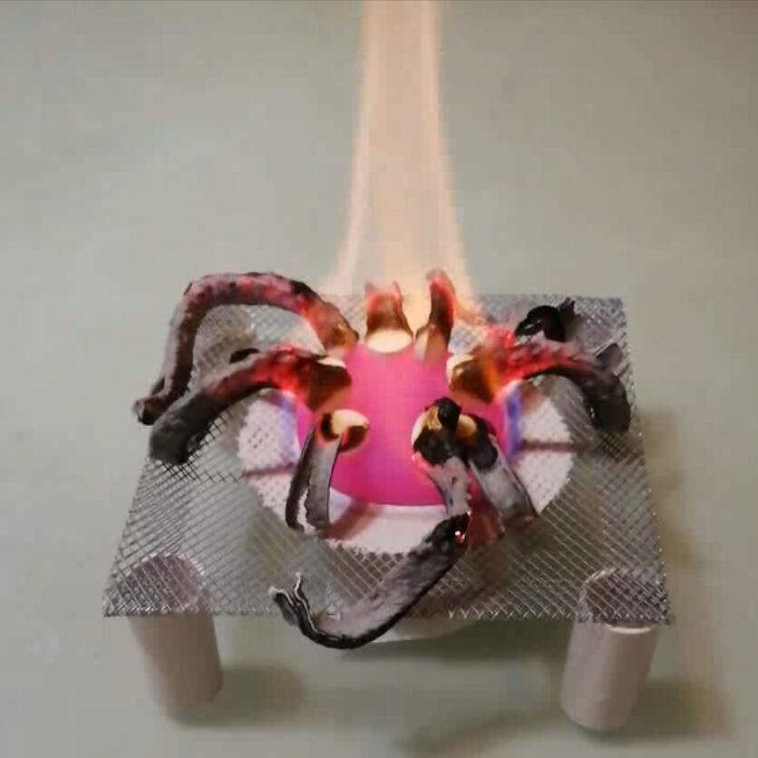 法老之蛇免邮十大化学科学实验学生教学教具魔术科学实验