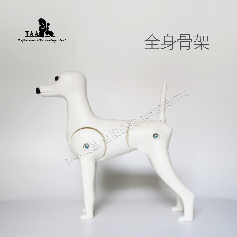 宠物贵宾泰迪比熊犬假狗毛模型模特特犬骨架仿真美容剪