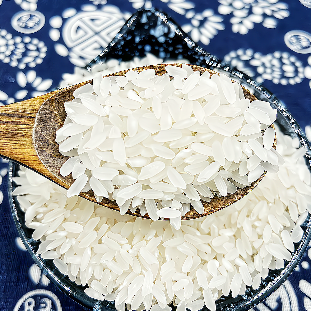 粳米2022新米东北延边大米长粒寒地农家胚芽大米