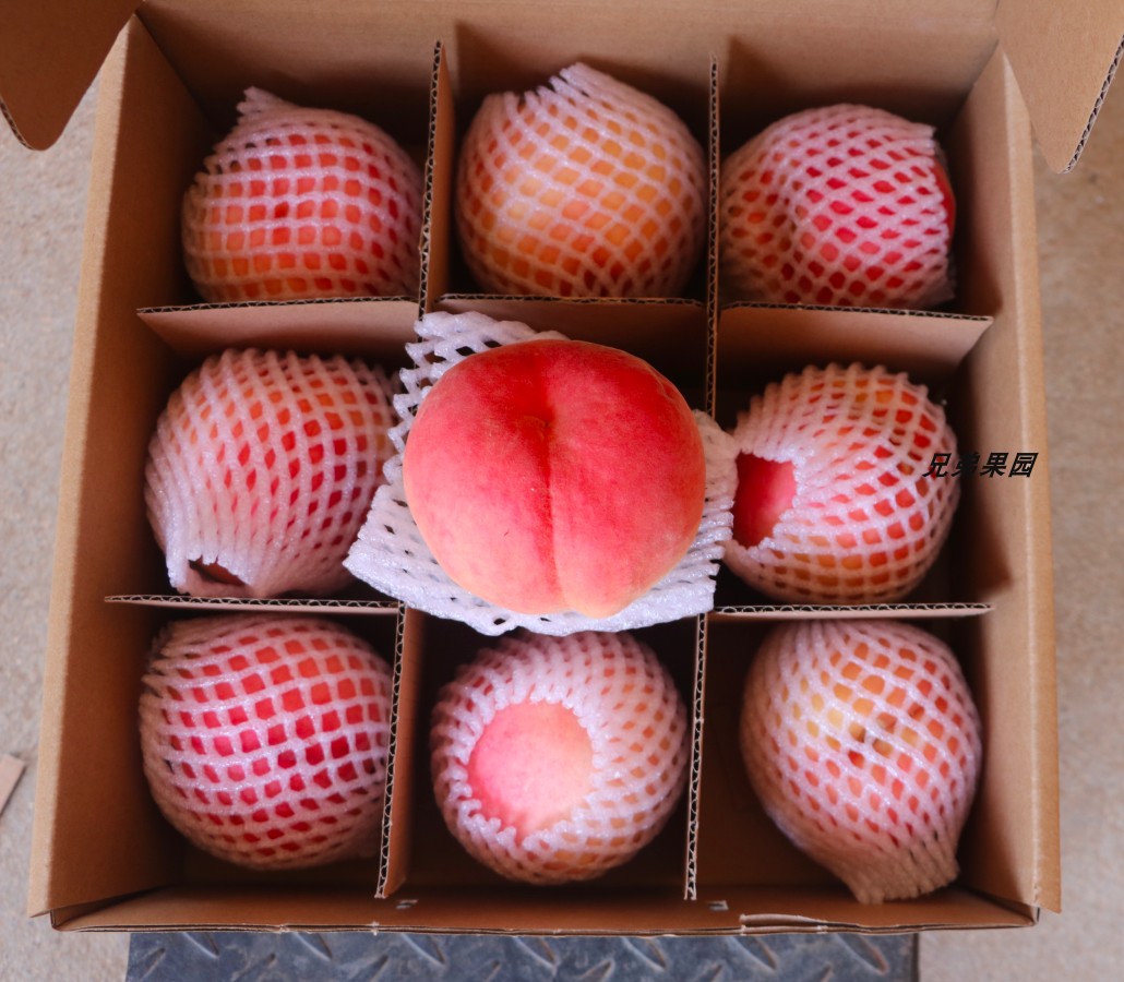 肥城顺丰肥桃超大桃子新鲜孕妇水果脆甜冬雪桃