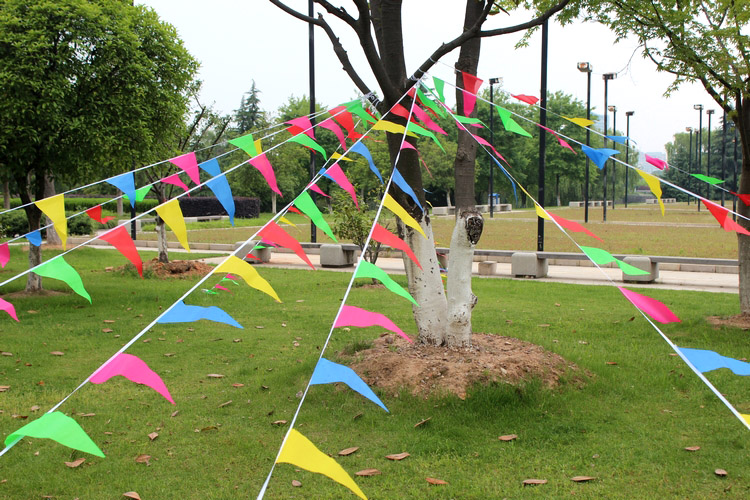 小彩旗三角串旗批发开张开业挂饰彩旗喜庆结婚彩旗小红旗定做批发