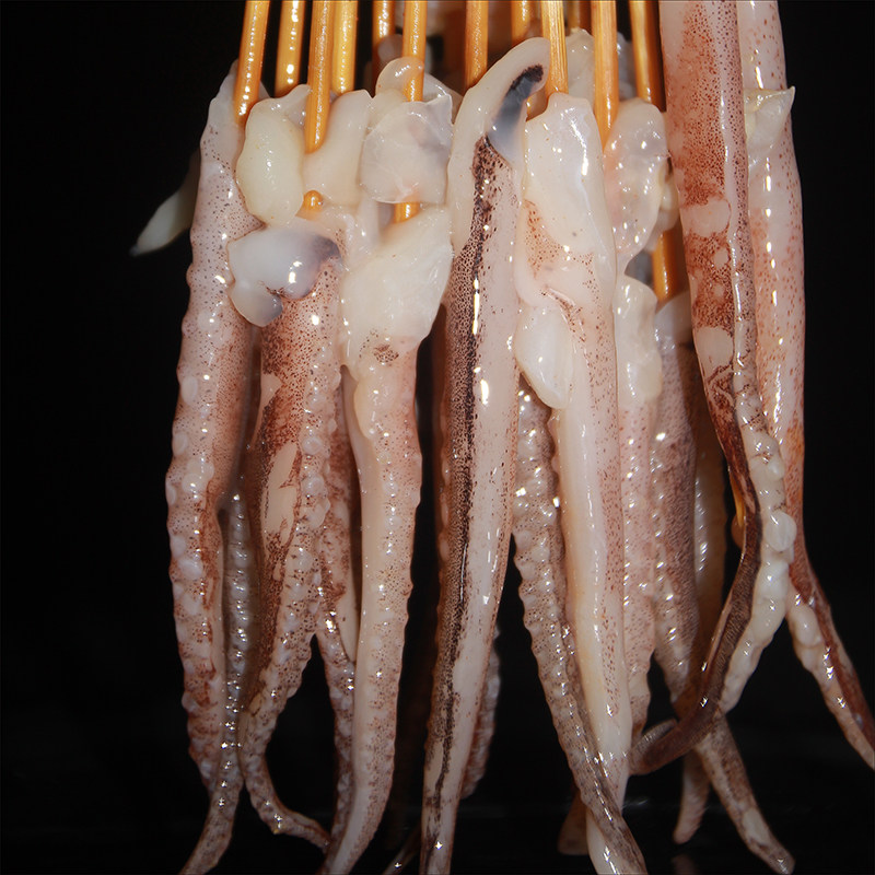 鱿鱼须串1200串新鲜冷冻商用深海脆口食材铁板其它