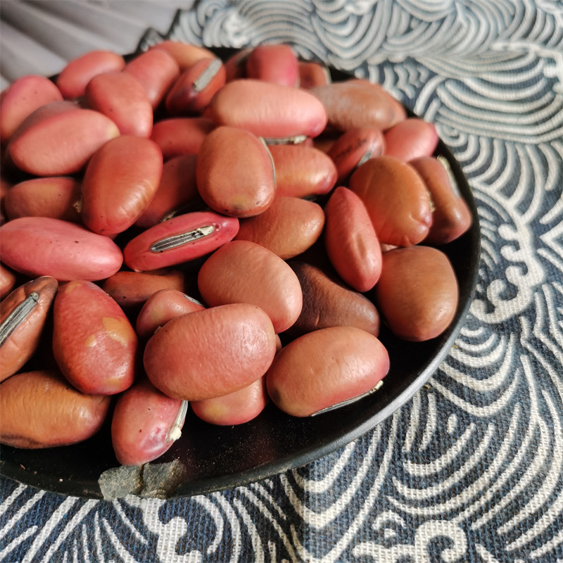 刀豆中药材500克包邮大刀豆子挟剑豆大弋豆刀鞘其他药食同源食品