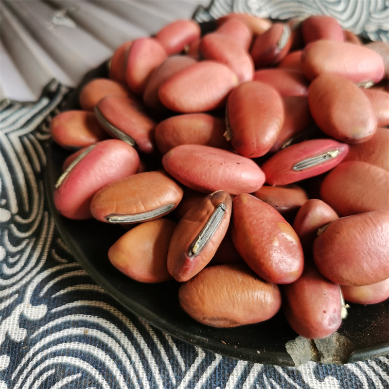 刀豆中药材500克包邮大刀豆子挟剑豆大弋豆刀鞘其他药食同源食品