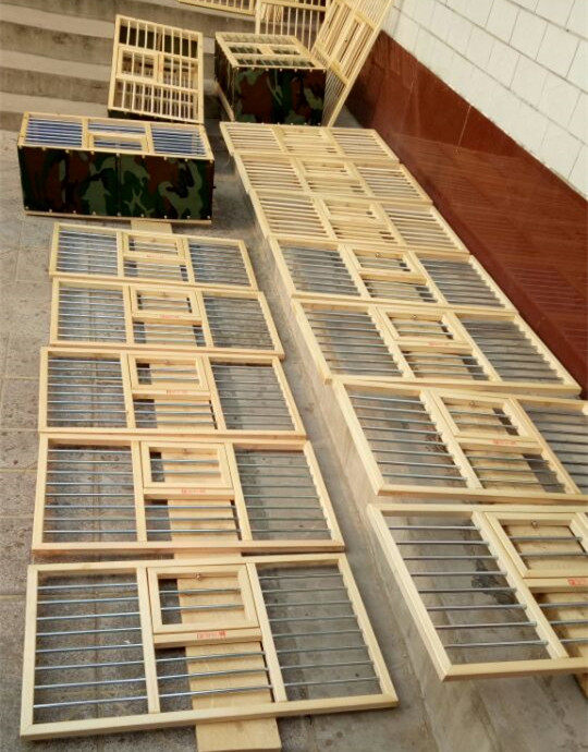 信鸽鸽子鸽具用品训放放飞赛鸽鸽笼比赛笼子