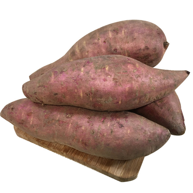 白瓤新鲜白肉番薯3斤中大地瓜香甜番薯