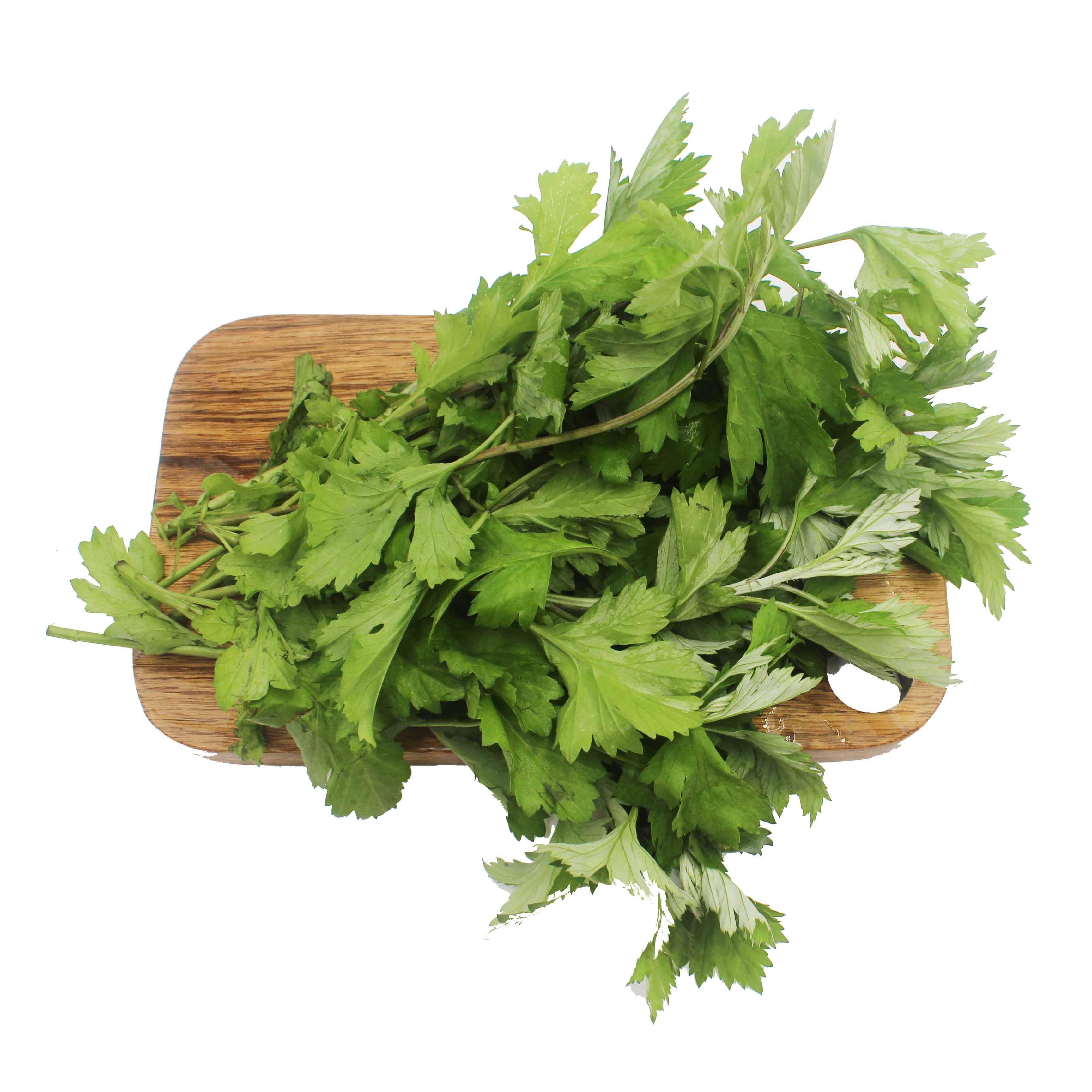 艾草漫泉河新鲜艾叶鲜嫩艾叶草清明糍粑生纯现摘食叶菜类