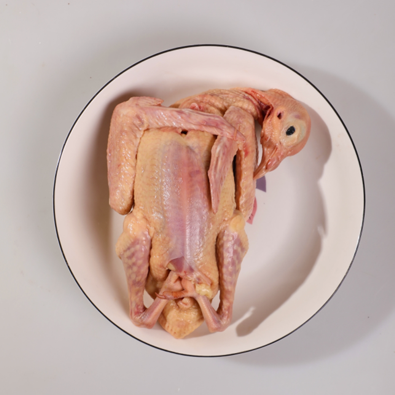 鸽子新鲜现杀乳鸽生鲜炖汤真空冷冻5只包邮乳鸽