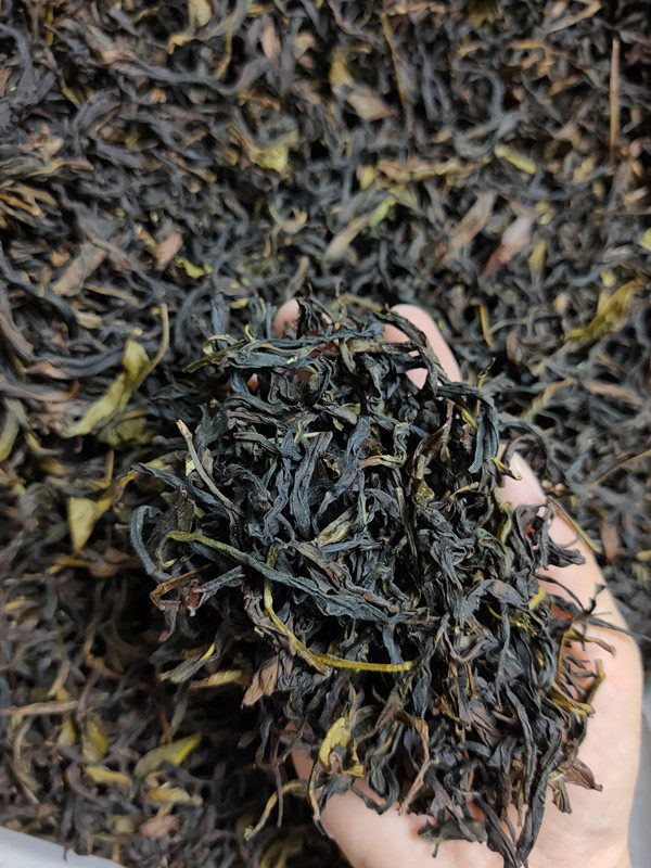 凤凰乌岽单枞原生态野生单丛茶宋种高山春茶500克凤凰单丛