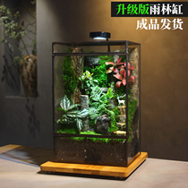 Moss Micro Landscape Forest Flowing Water Plant Rainforest Cylinder Home Residence Net Red Custom Pendulum Pieces Send Leaders Decompression Gifts