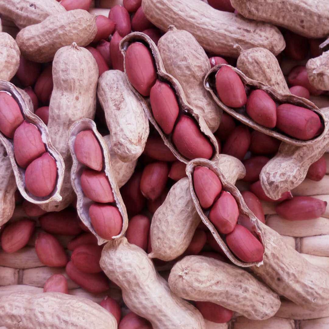 花生包邮同仁堂红花生剥血小板增加500g红皮三红花生衣