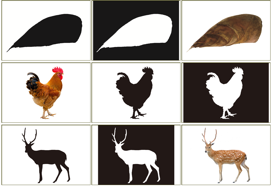 配对训练影子自闭症儿童康复早教注意力观察能力玩具挂图