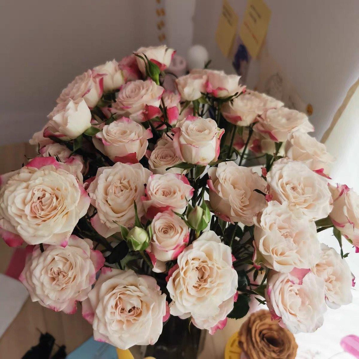 云南多头玫瑰鲜花泡泡直发家用生活活水插花鲜花速递同城