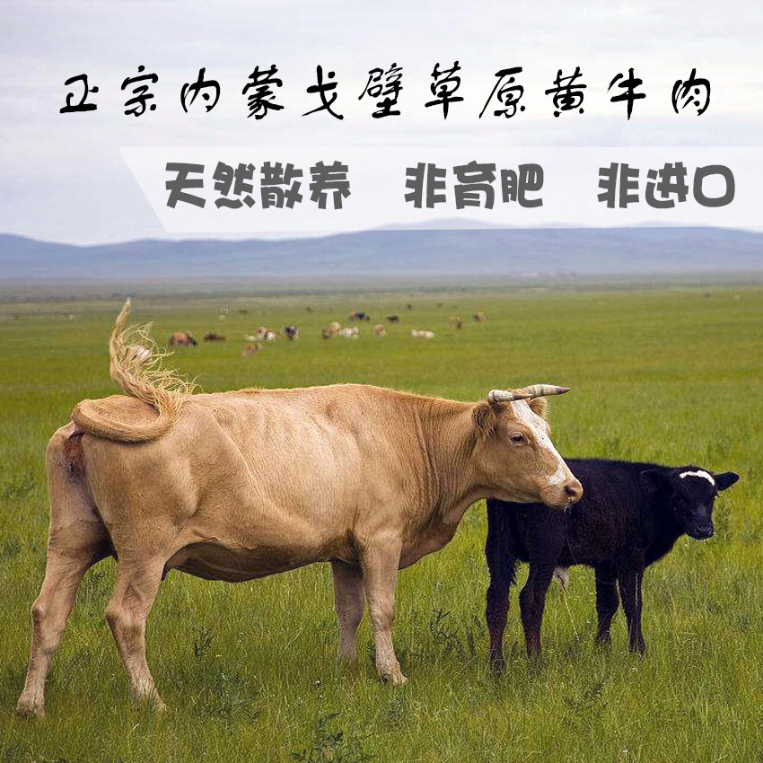 牛肉内蒙古散养草原黄牛新鲜牛腿肉牛腩牛5斤生牛肉